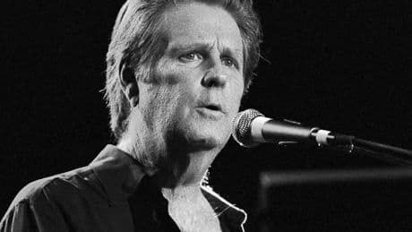 Brian Wilson: Einsam am Strand