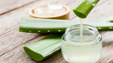 Esto es lo que pasa en tu cuerpo si comes aloe vera todos los días y cómo cocinarla