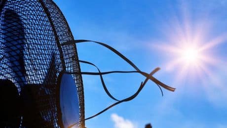 Ventiladores, pingüinos o aire acondicionado: las diferencias en la factura eléctrica se elevan hasta 300 euros en verano