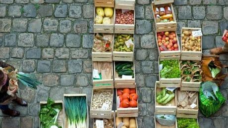 Les AMAP, ce lien alimentaire direct et solidaire entre citoyens et agriculteurs