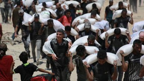 Gaza : « On est actuellement dans le mode de survie : juste rester en vie et chercher à manger »