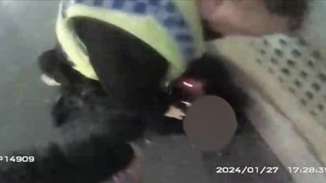Moment cop tells boy, 15, ‘stop screaming like a b****’ while pinning him down in arrest – as he’s sacked from force