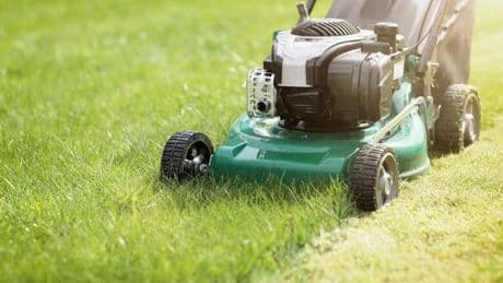 Brits 'shouldn't be cutting their garden grass this week' – according to expert