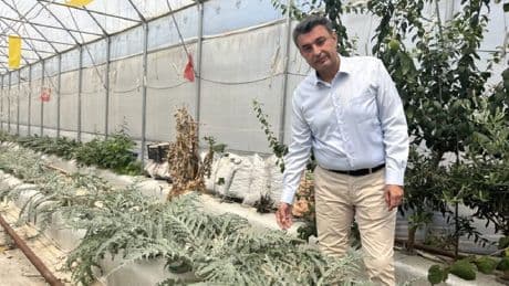 Niğde ve Aksaray'dan getirildi, Türkiye’ye örnek oldu! Yurt dışı bağımlılığı bitiyor: Verimi bol kazancı yüksek