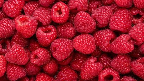 Himbeeren: Wie gesund sind sie die süßen Beeren wirklich?