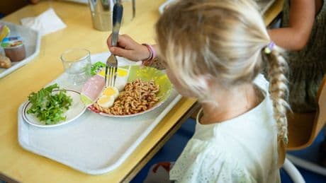 Baden-Württemberg: Klage gegen vegetarisches Schulessen scheitert vor Gericht