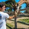 La foudre s'abat sur un zoo des Bouches-du-Rhône, 15 personnes, dont quatre enfants, blessées