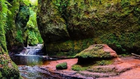 Emergency services on scene at Stirlingshire beauty spot after 'concern for person'