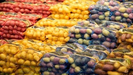The mystery of the first potatoes has finally been solved – and a tomato was involved