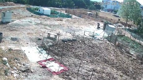 Esenyurt'ta kan donduran iddia: Bir köpeği işkenceyle katledip bir köpeği yaraladı