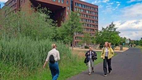 Medewerkers Wageningen Universiteit weigeren begeleiding: ’Idioot om studenten te benadelen omdat ze in Israël willen studeren’