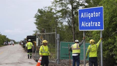 Una jueza frena la construcción del centro 'Alligator Alcatraz' por una demanda ambiental