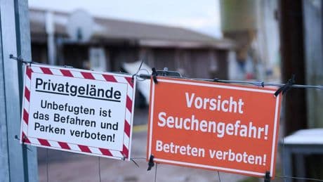 Schäden durch Maul und Klauenseuche: EU zahlt Landwirten 4,8 Millionen Euro