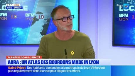 Planète Locale du mercredi 23 avril - AuRA: un Atlas des bourdons Made in Lyon