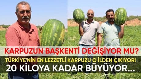 Türkiye'nin en lezzetli karpuzu meğer Adana değil, bu ildeymiş! Hem sulu hem de kan kırmızısı: 20 kiloya kadar büyüyor
