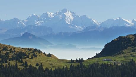 « Notre nouveau monde » : la formidable résilience de la nature face aux dérèglements climatiques