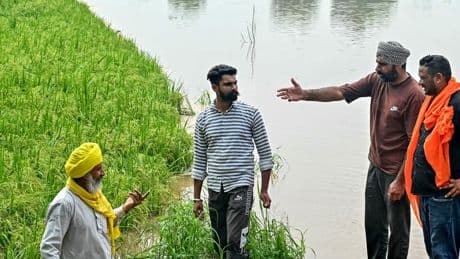 Worst Rains in Decades Batter North India, Submerging Crops
