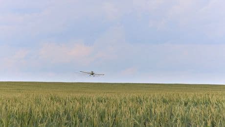 Droits de douane : comment Pékin fait de l’agriculture une arme de dissuasion massive