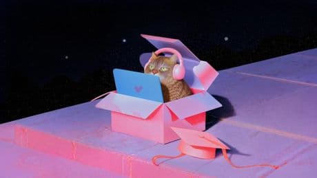 Lofi Girl: Studieren? Ohne sie? Aber wie?!