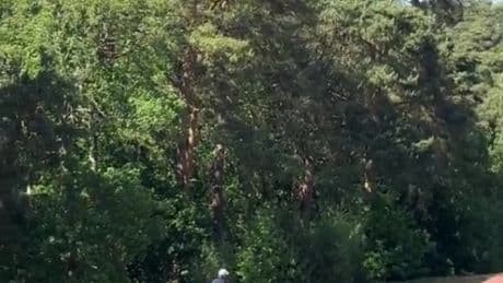 Peter Crouch begs ‘can everyone not share this’ as fan catches absolutely TERRIBLE golf shot on camera