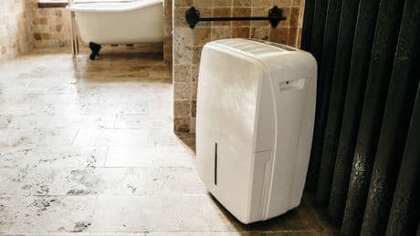 Schluss mit Schimmel: Die besten Luftentfeuchter im Test