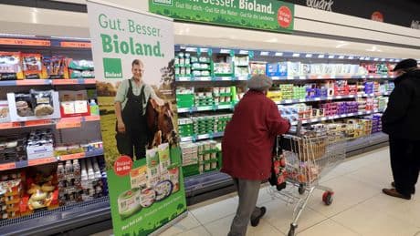 Augmenter l’offre végétale dans les supermarchés : les leçons de nos voisins européens