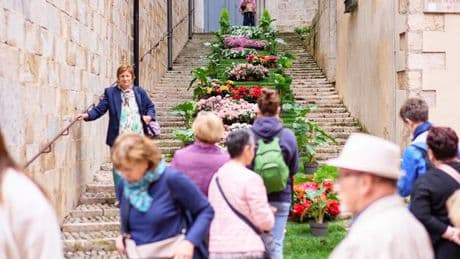 Cuenta atrás en Girona para la gran celebración del año: la fiesta de las flores