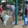 « Ils sont très heureux ici » : pour les vacances, ils confient leurs animaux à ce centre réputé