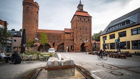 S-Bahn-Ausflug ab Berlin: Radtour zum Badesee bei Bernau