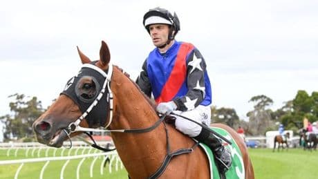 Horse racing jockey rushed to hospital after 'physical altercation' with rival