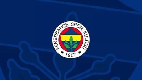 Fenerbahçe'de başkanvekili Erol Bilecik'in istifası kabul edildi