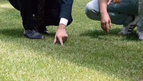 Tartışma yaratan stadyum zemininde son durum: 10 gün içinde hazır olacak