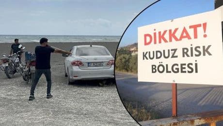 4 mahallede kuduz alarmı! Köpekler toplanmaya başladı