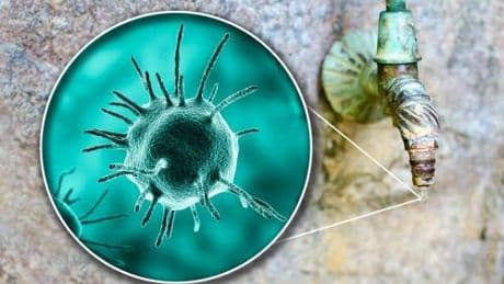 Malattie rare, Sitrac: "Non accessibile farmaco approvato in cheratite da Acanthamoeba"