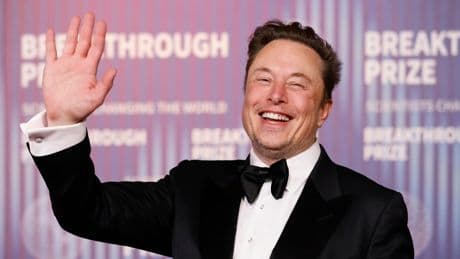 Tesla, Palantir y las acciones con fans: cuando la fe del inversor vale más que los beneficios