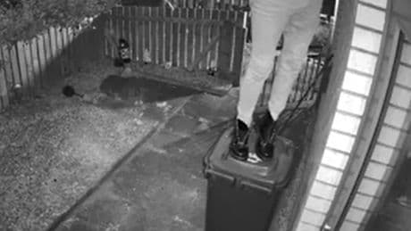 Moment intruder climbs wall of home in Edinburgh as woman sleeps inside