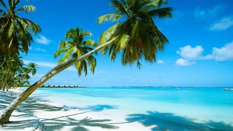 Reiseziele und Checklisten - Alle Infos für den perfekten Urlaub