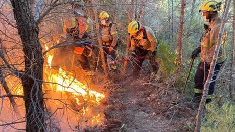 Restringido el acceso a los espacios naturales de Cardó y Tivissa por alto riesgo de incendio