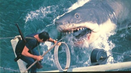 'Tiburón': 50 años del baño más sangriento en la playa