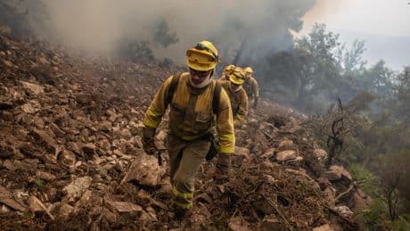 El fuego no cede en Castilla y León: 21 incendios activos y riesgo de posibles rebrotes