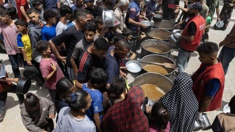«Des animaux ne pourraient pas vivre ici» : trouver de l’eau, du bois, de la nourriture, échapper aux bombes… À Gaza, le récit d’un cauchemar sans fin