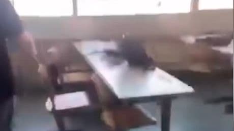 Schüsse im Hintergrund - Videos sollen Amok in Graz zeigen
