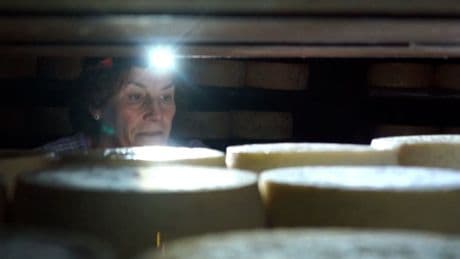 Bis zu 36.000 Euro - Dieser Käse kostet ein Vermögen