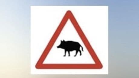 Mucho cuidado con la nueva señal de la DGT sobre animales