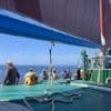 REPORTAGE. Découvrir le patrimoine maritime : excursion aux Glénan sur « Notre-Dame de Rumengol »