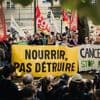Derrière les débats sur la loi Duplomb, deux visions de l'agriculture se percutent, entre modèle intensif et pratiques agroécologiques