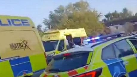 Two teenagers arrested after police officers are allegedly assaulted