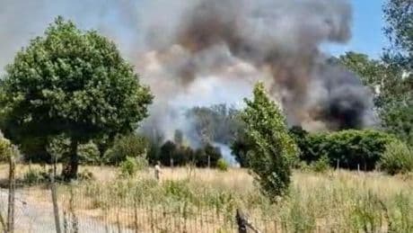 Incendio a Lerici, divorati bosco e baracche: apprensione per le darsene e i vivai