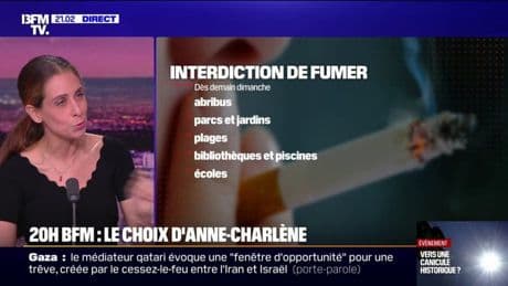 LE CHOIX D'ANNE-CHARLÈNE - Tabac: nouvelles restrictions, risque politique ?