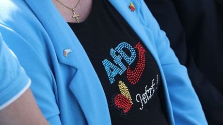 AfD in Brandenburg: Offiziell rechtsextrem, aber auf Umwegen